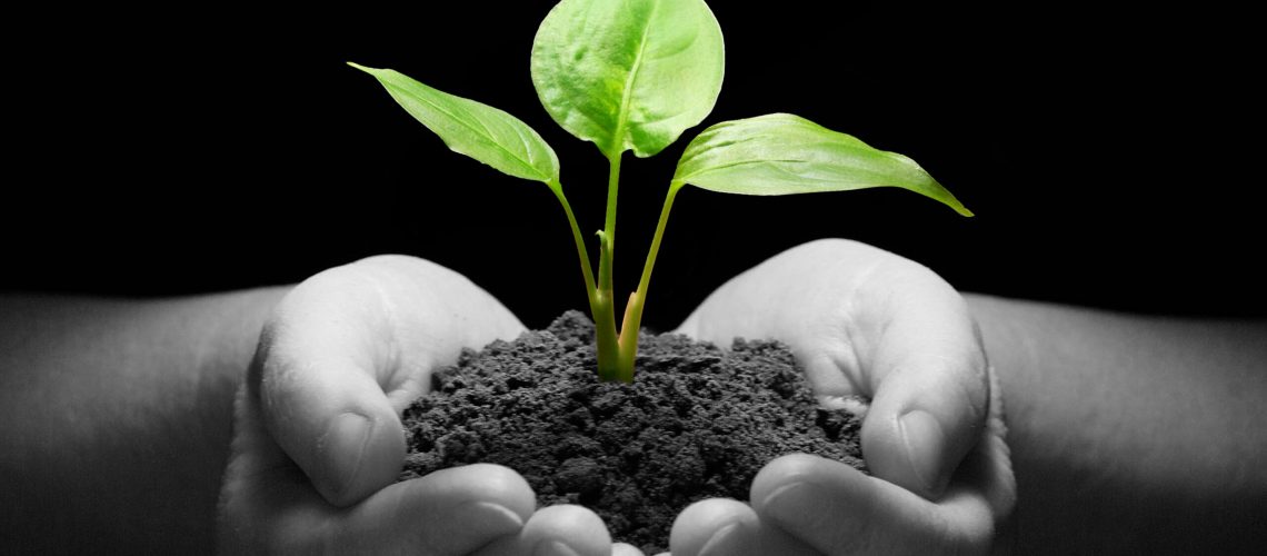 let our team help you let our team help you with your business